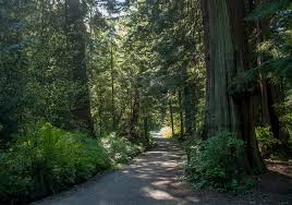 Stanley Park - A Military Engineer Legacy