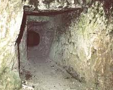 Exemple d'un tunnel avec un support de toit en poutres en bois