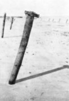 Anti-landing obstacles - Teller mine strapped to a single stake.